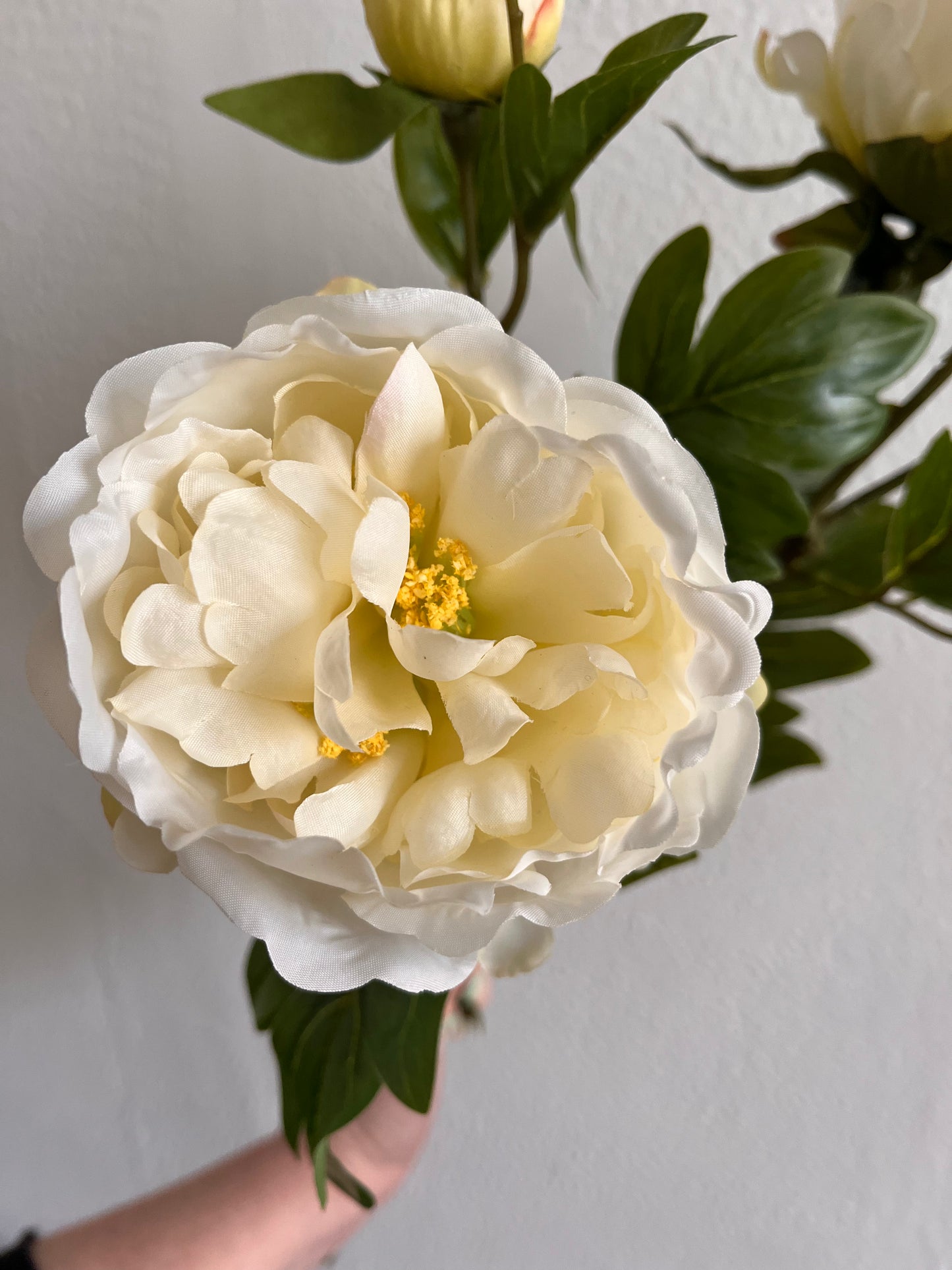 White Peony Spray 2 heads 2 buds