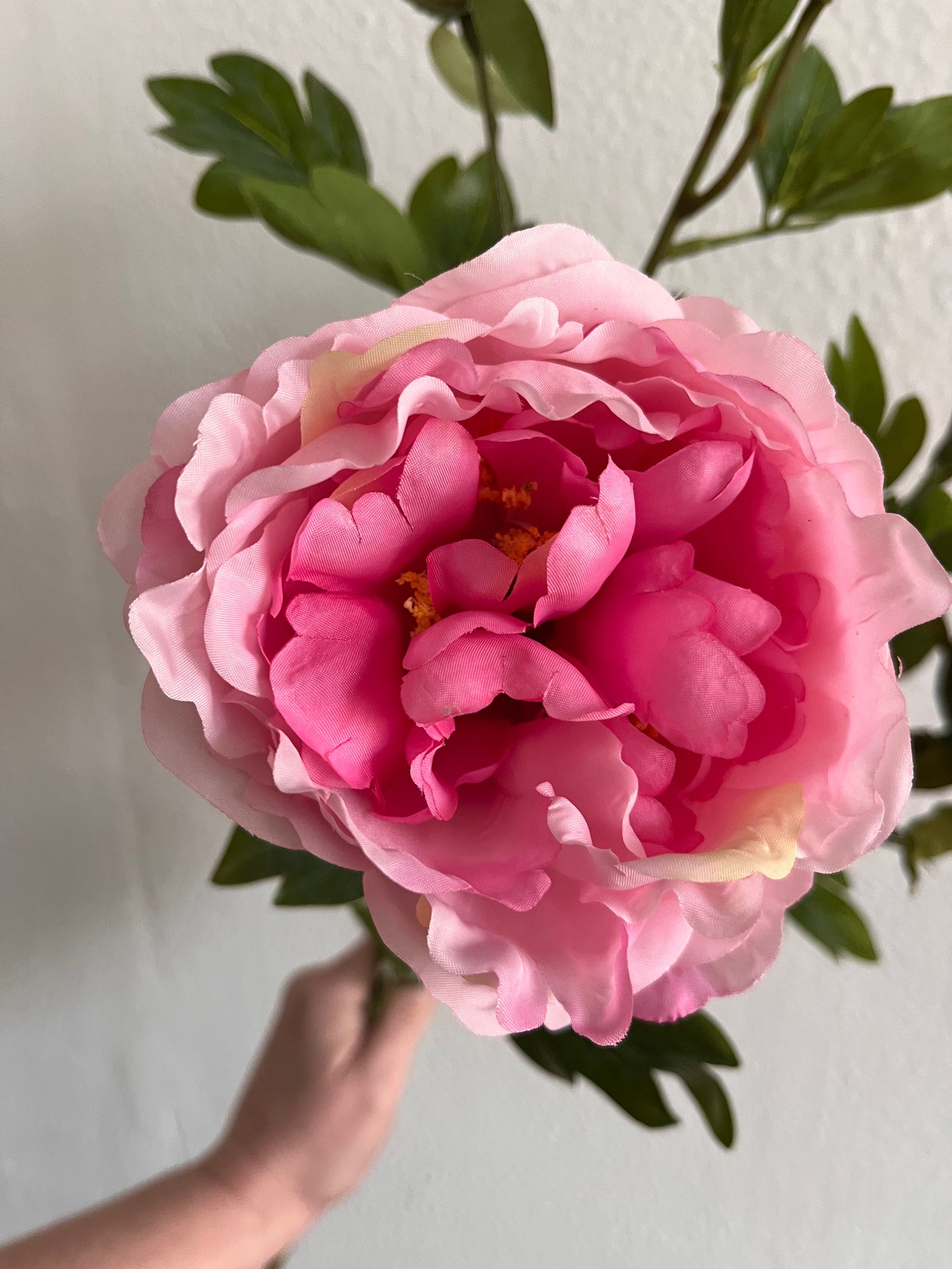 Pink Peony Spray 2 Open Blooms 2 Buds