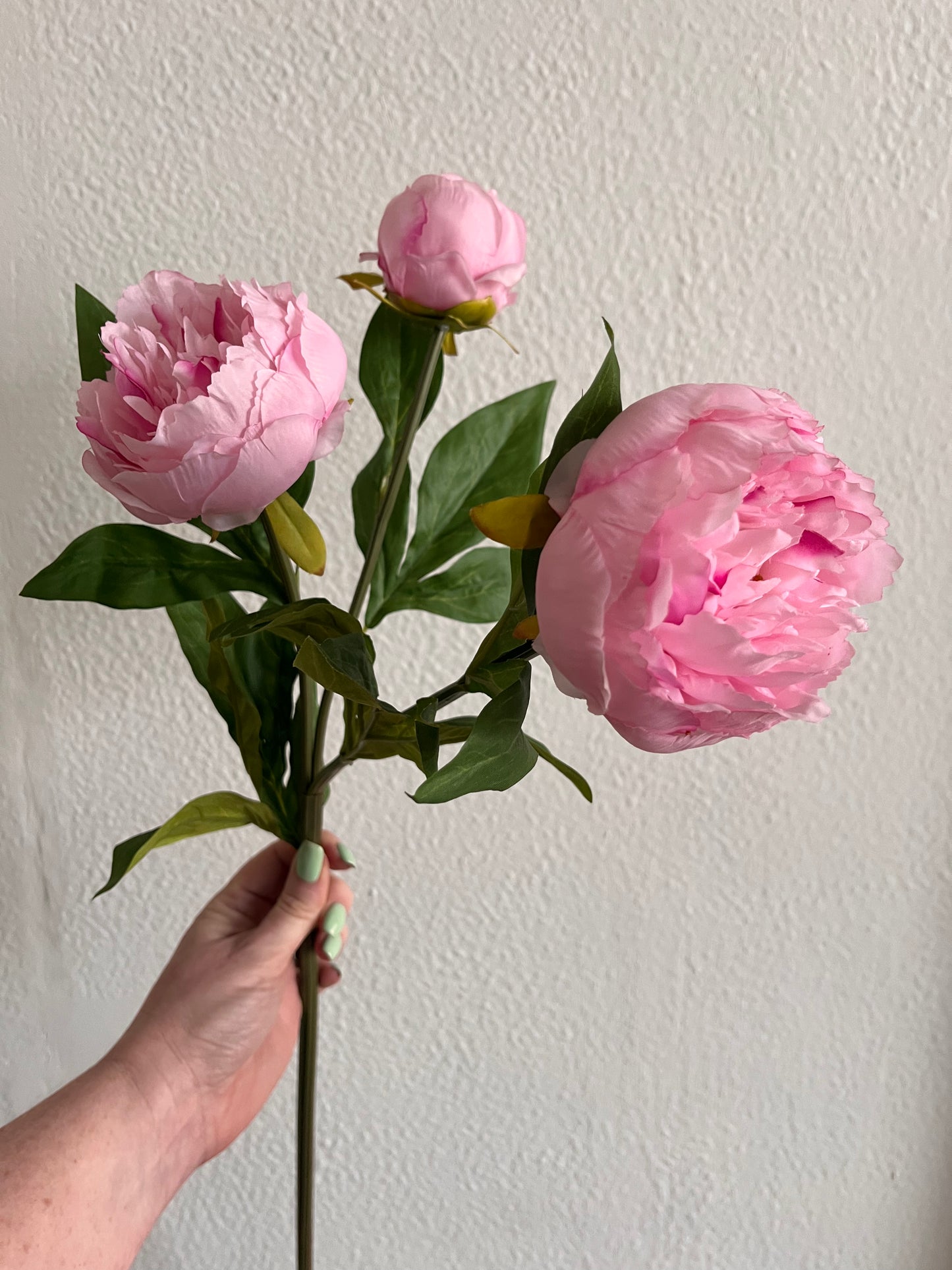 Blush Pink 3 Peony Stem