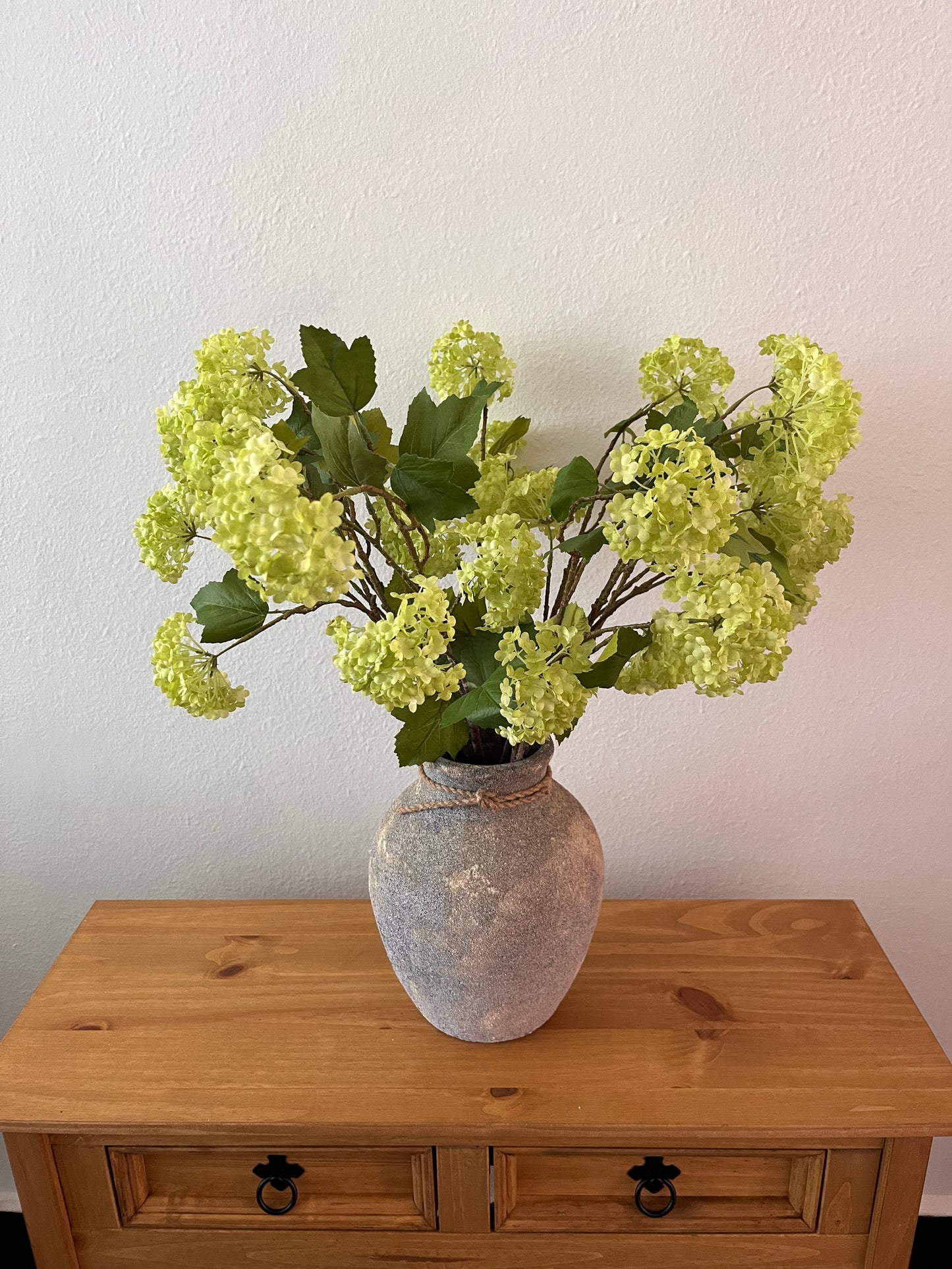 Green Viburnum