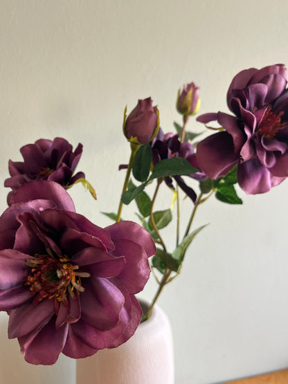 Mauve Waterlily Dahlia stem