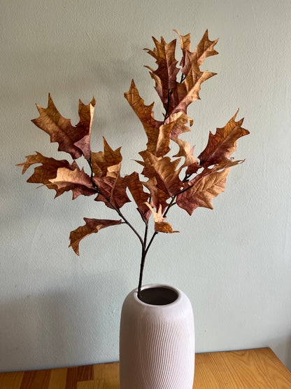 Dried Touch winter branch honey