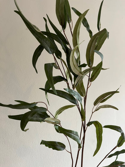 Eucalyptus Nicholi spray faux foliage stem