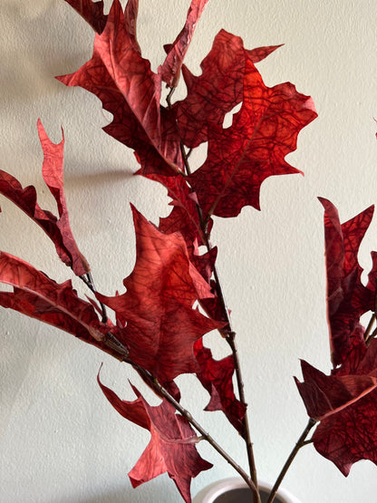 Dried Touch winter branch red