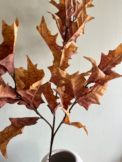 Dried Touch winter branch honey