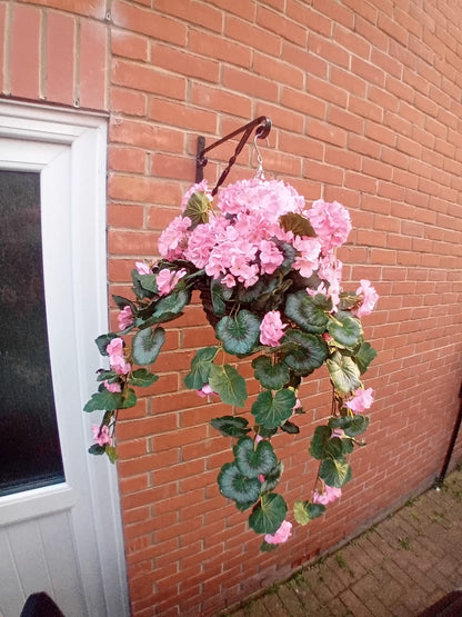 Geranium hanging basket