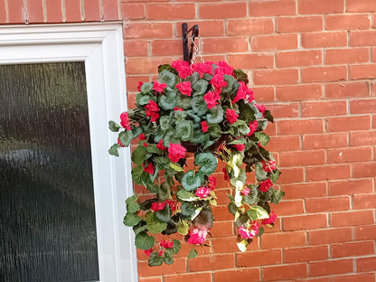 Geranium hanging basket