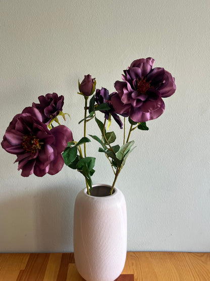 Mauve Waterlily Dahlia stem