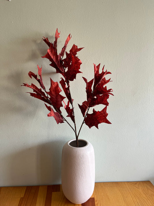 Dried Touch winter branch red