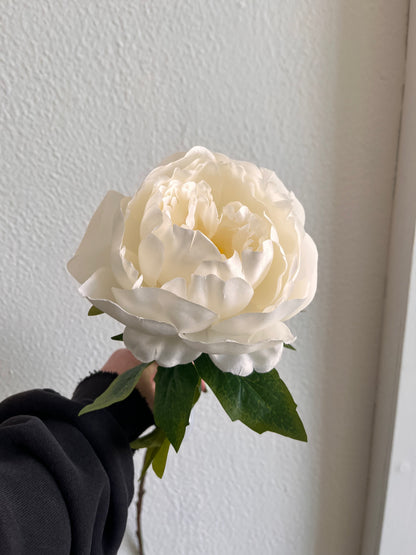 Single White Peony