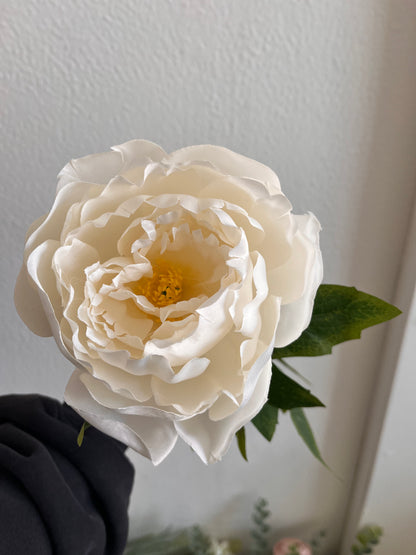 Single White Peony
