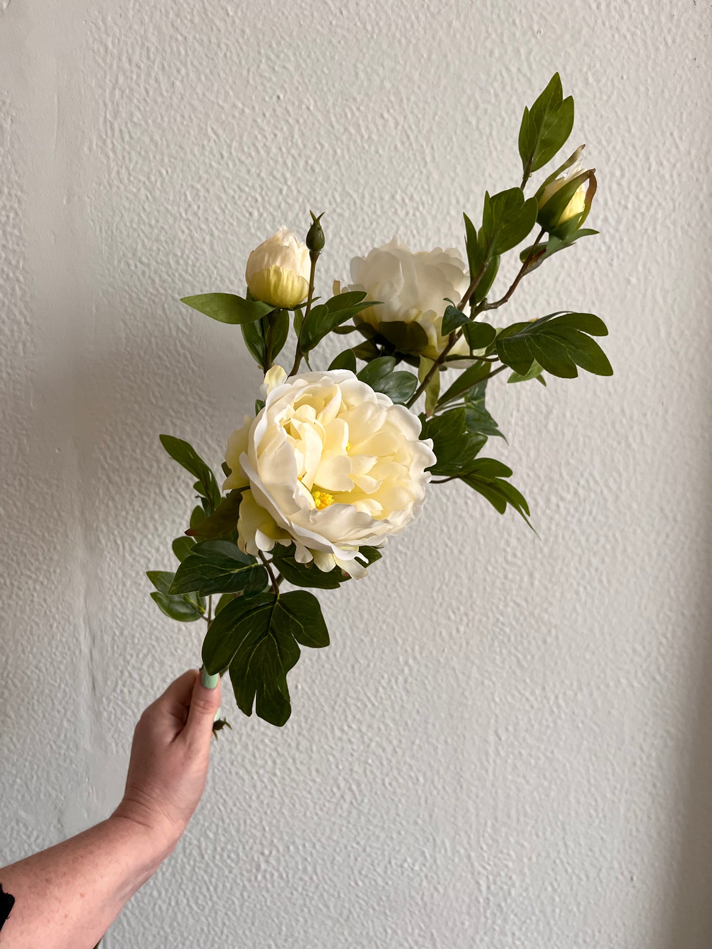 White Peony Spray 2 heads 2 buds