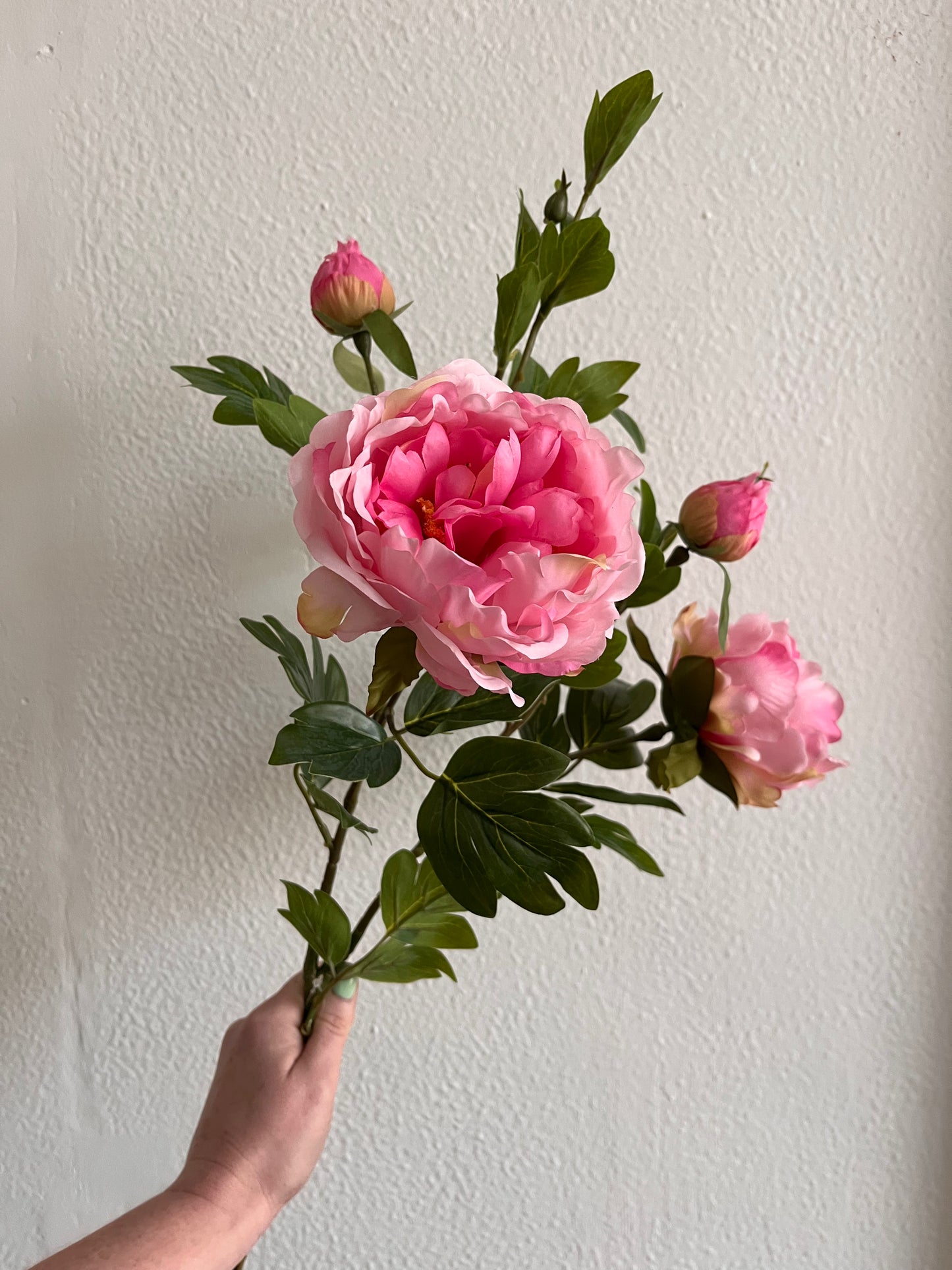 Pink Peony Spray 2 Open Blooms 2 Buds