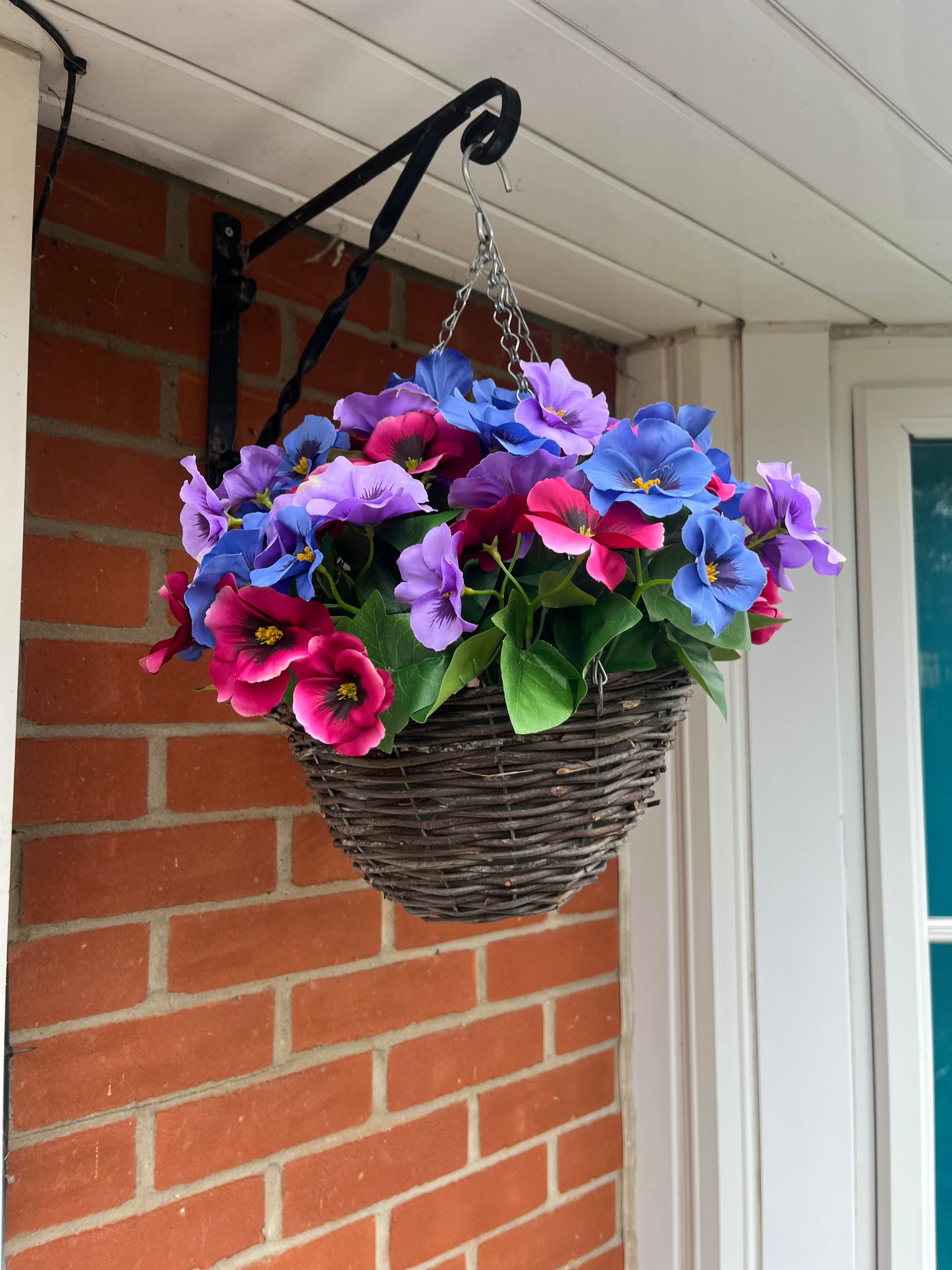 Pansy Hanging Basket