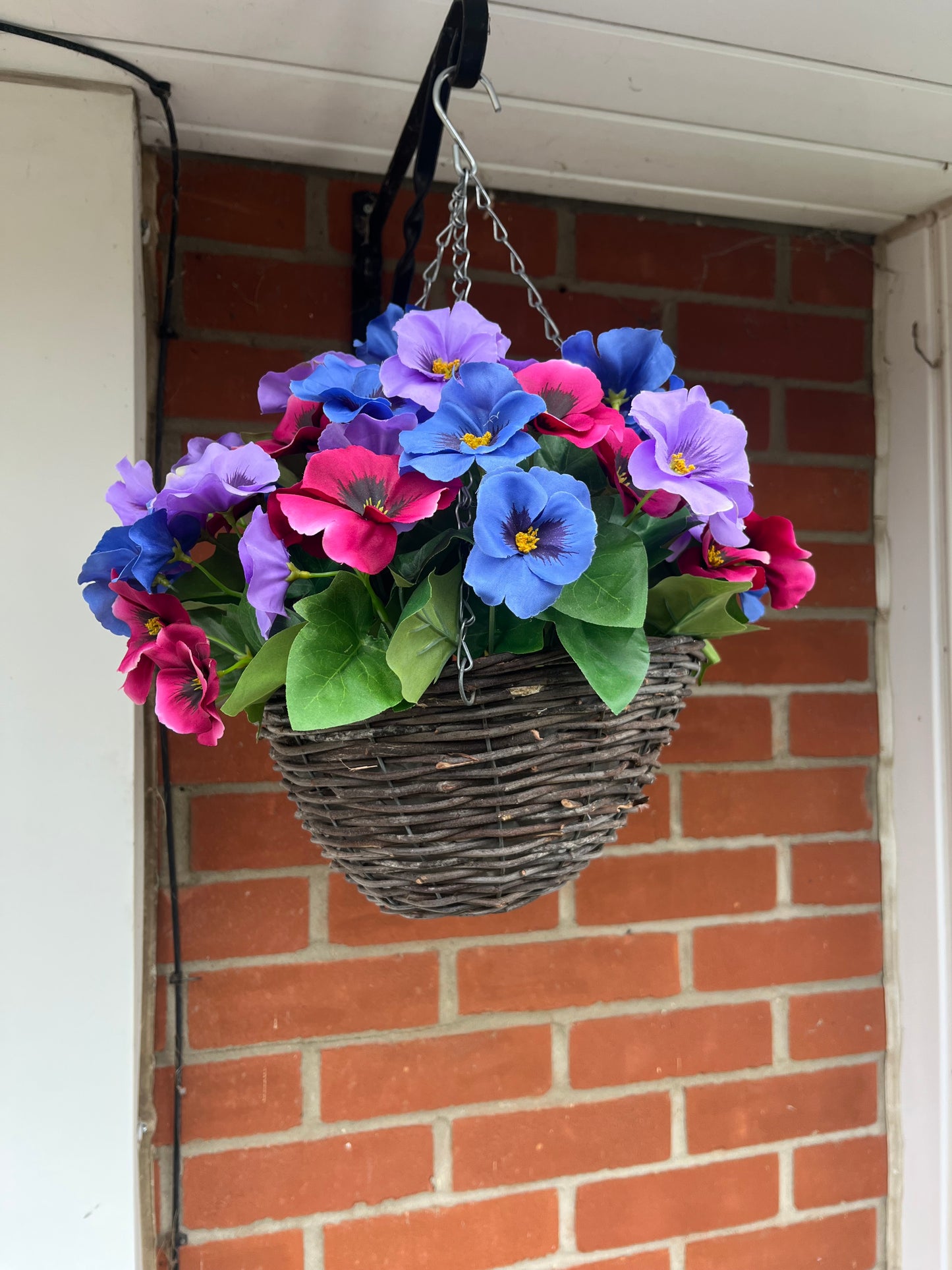 Pansy Hanging Basket