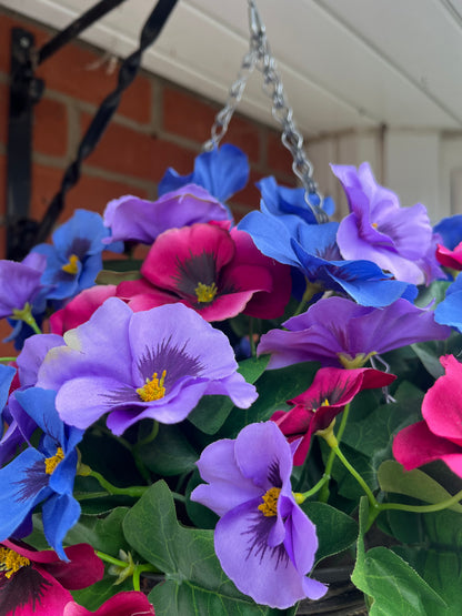 Pansy Hanging Basket