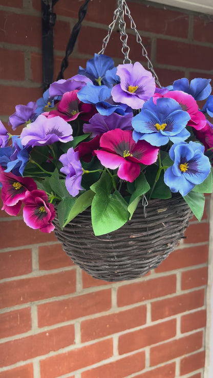 Pansy Hanging Basket